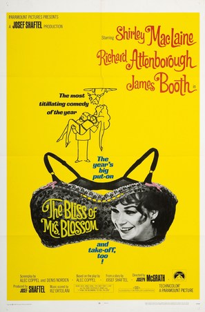 The Bliss of Mrs. Blossom - Movie Poster (thumbnail)