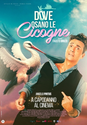 Dove osano le cicogne - Italian Movie Poster (thumbnail)