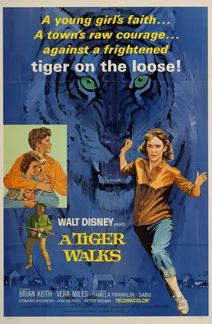 A Tiger Walks Poster
