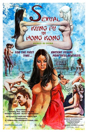 Sexual Kung Fu in Hong Kong - Movie Poster (thumbnail)