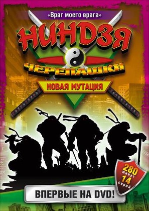 &quot;Ninja Turtles: The Next Mutation&quot; - Russian DVD movie cover (thumbnail)