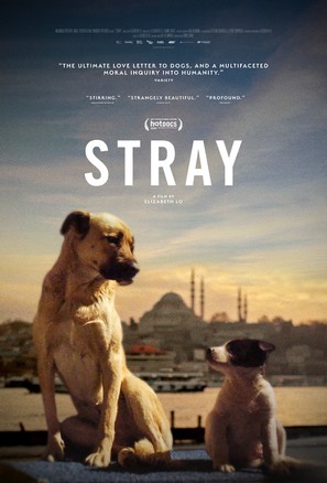 Stray - Movie Poster (thumbnail)