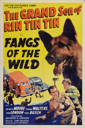 Fangs of the Wild - Movie Poster (thumbnail)