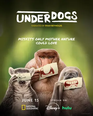"Underdogs" Poster