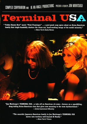 Terminal USA - DVD movie cover (thumbnail)