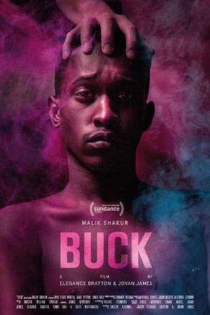 Buck - Movie Poster (thumbnail)