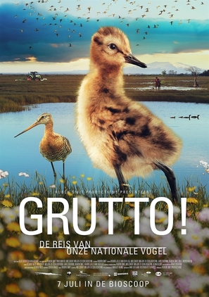 Grutto! De Reis van onze Nationale Vogel - Dutch Movie Poster (thumbnail)