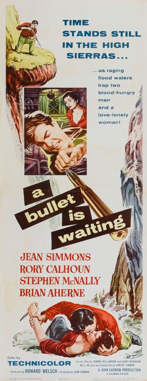 A Bullet Is Waiting - Movie Poster (thumbnail)