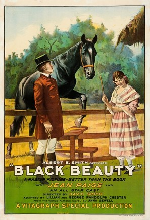 Black Beauty - Movie Poster (thumbnail)