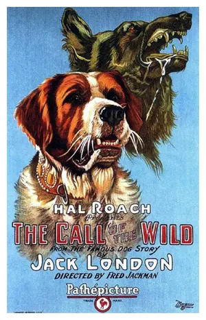 Call of the Wild Poster