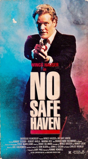 No Safe Haven - Movie Cover (thumbnail)