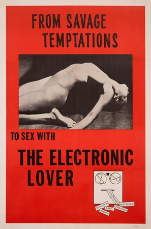 Electronic Lover - Movie Poster (thumbnail)