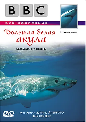 Great White Shark Cover