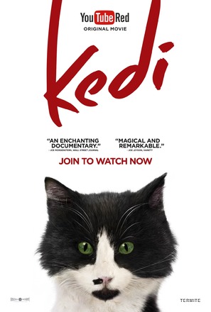 Kedi - Movie Poster (thumbnail)