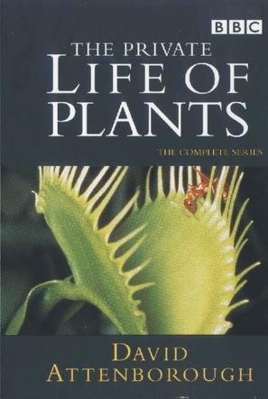 &quot;The Private Life of Plants&quot; - DVD movie cover (thumbnail)