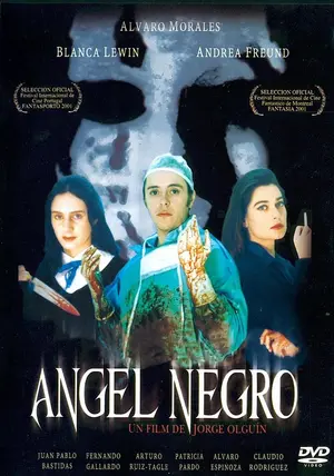 &Aacute;ngel negro