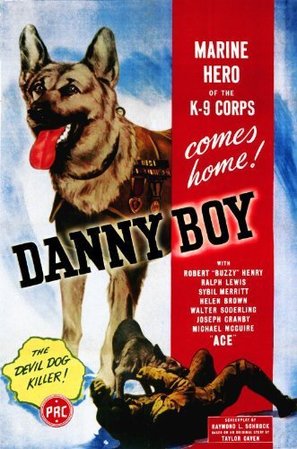 Danny Boy - Movie Poster (thumbnail)