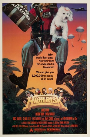 High Risk - Movie Poster (thumbnail)