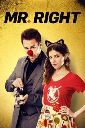 Mr. Right - DVD movie cover (thumbnail)