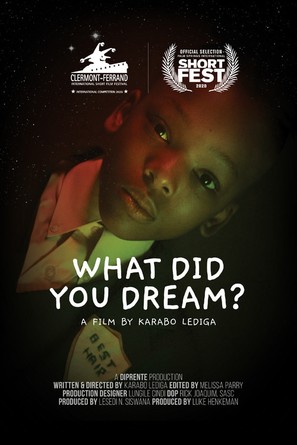 What Did You Dream? - South African Movie Poster (thumbnail)