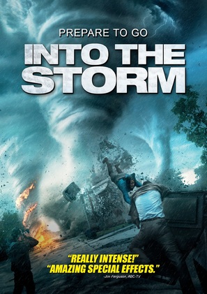 Into the Storm - DVD movie cover (thumbnail)