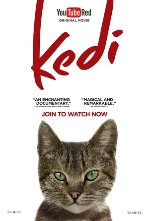 Kedi - Movie Poster (thumbnail)