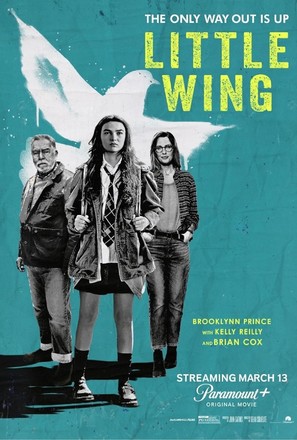 Little Wing - Movie Poster (thumbnail)