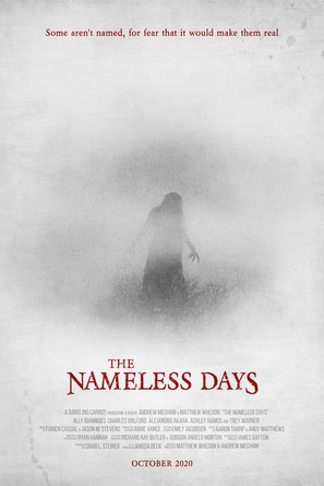 The Nameless Days - Movie Poster (thumbnail)