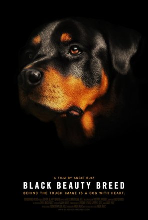 Black Beauty Breed - Movie Poster (thumbnail)