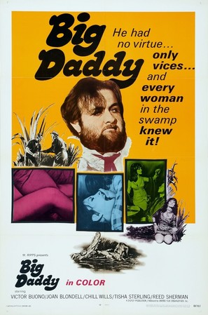 Big Daddy - Movie Poster (thumbnail)