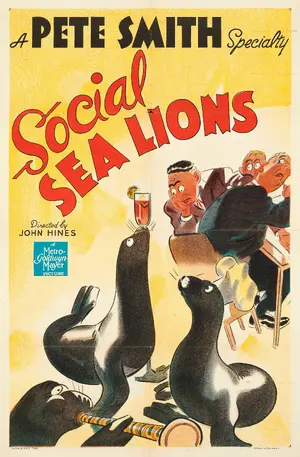 Social Sea Lions Poster