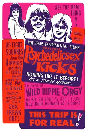 Psychedelic Sex Kicks Poster