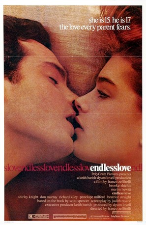 Endless Love - Movie Poster (thumbnail)