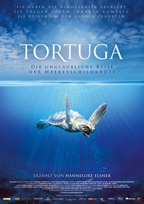 Turtle: The Incredible Journey - German Movie Poster (thumbnail)