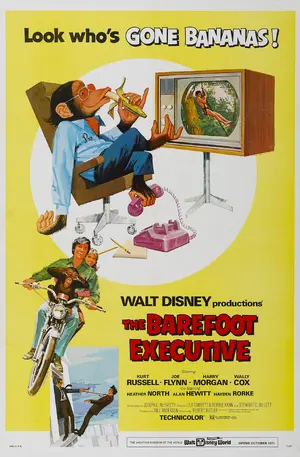The Barefoot Executive Poster