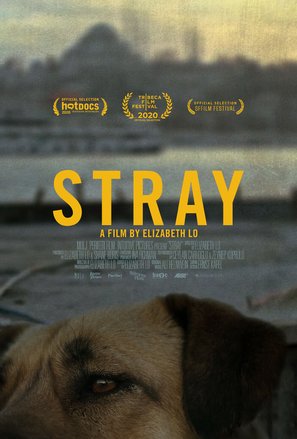 Stray - Movie Poster (thumbnail)