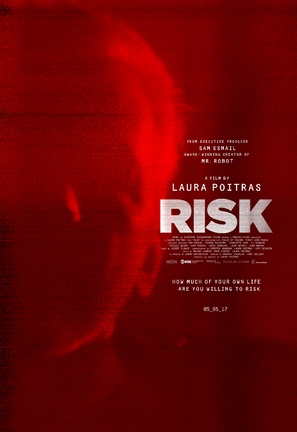 Risk - Movie Poster (thumbnail)