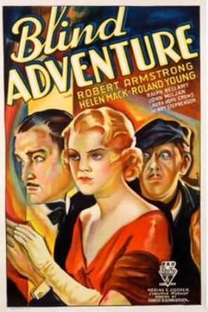 Blind Adventure - Movie Poster (thumbnail)