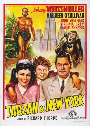 Tarzan's New York Adventure