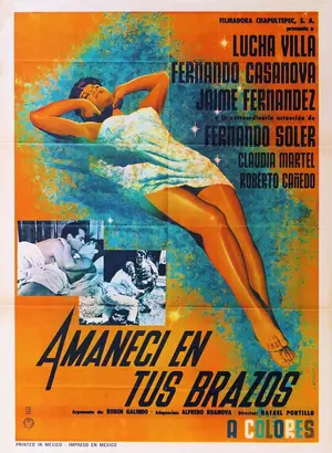 Amanecí en tus brazos Poster