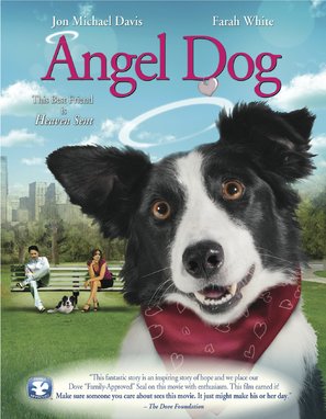 Angel Dog - DVD movie cover (thumbnail)