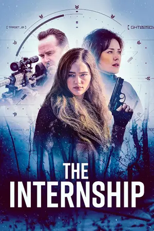 The Internship Cover