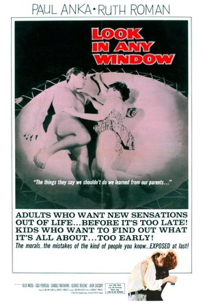 Look in Any Window - Movie Poster (thumbnail)