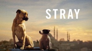 Stray - poster (thumbnail)