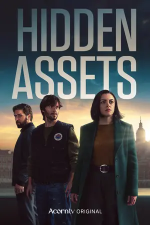 "Hidden Assets" Poster
