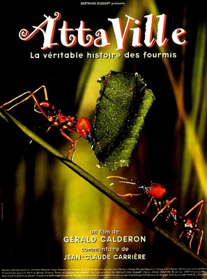 Attaville, la v&eacute;ritable histoire des fourmis - French Movie Poster (thumbnail)