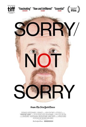 Sorry/Not Sorry - Movie Poster (thumbnail)