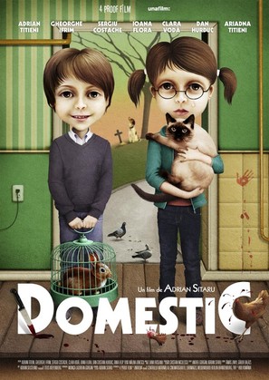 Domestic - Romanian Movie Poster (thumbnail)