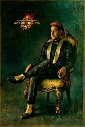 The Hunger Games: Catching Fire - Movie Poster (thumbnail)