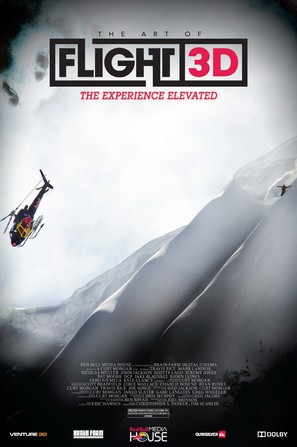 The Art of Flight - Movie Poster (thumbnail)